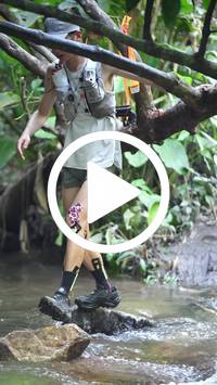 BIB:  <button type="button" onclick="openModal(27808818)" class="btn btn-primary btn-sm float-right" data-toggle="modal" data-target=".modal-high-quality">
                <i class="fa fa-download"></i> Download
                </button>